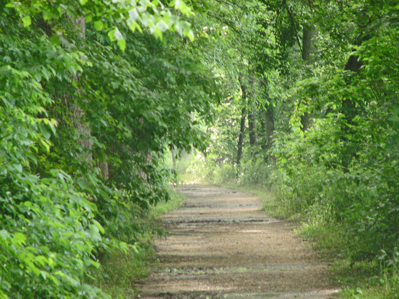 The muddy path vanishes in the distance