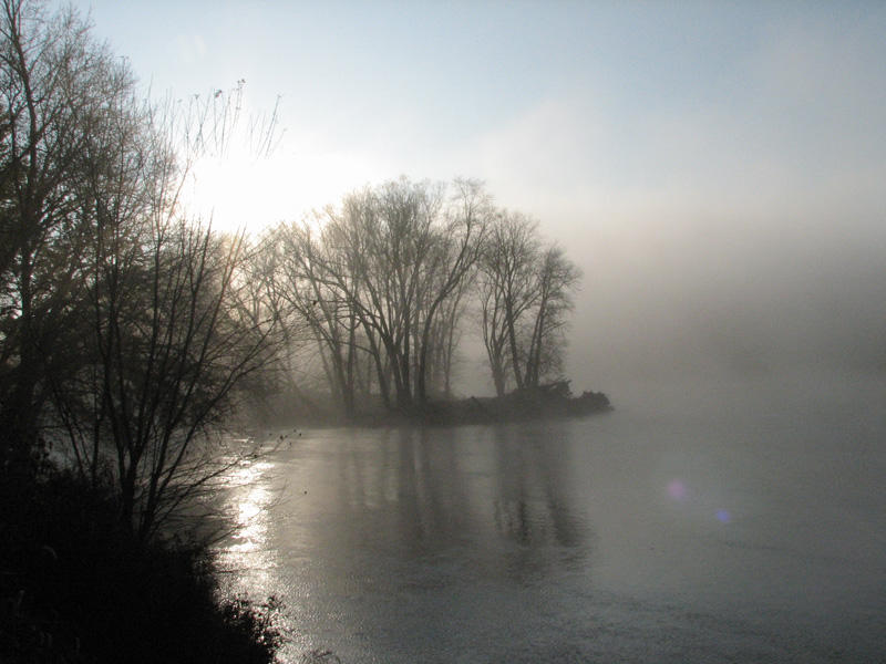 Morning on the Potomac