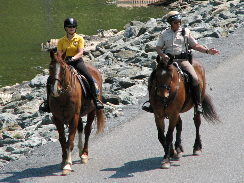 A ride in the park