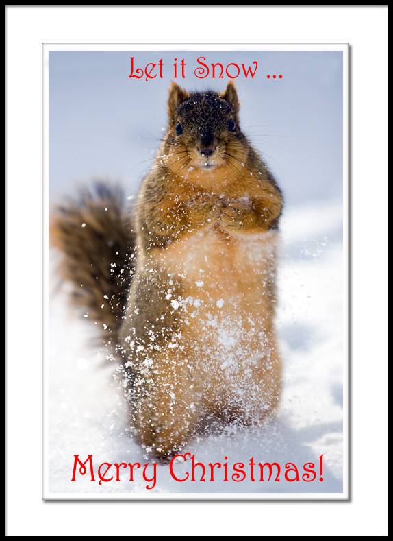 Wish You A Merry Christmas &<BR> A Happy New Year!