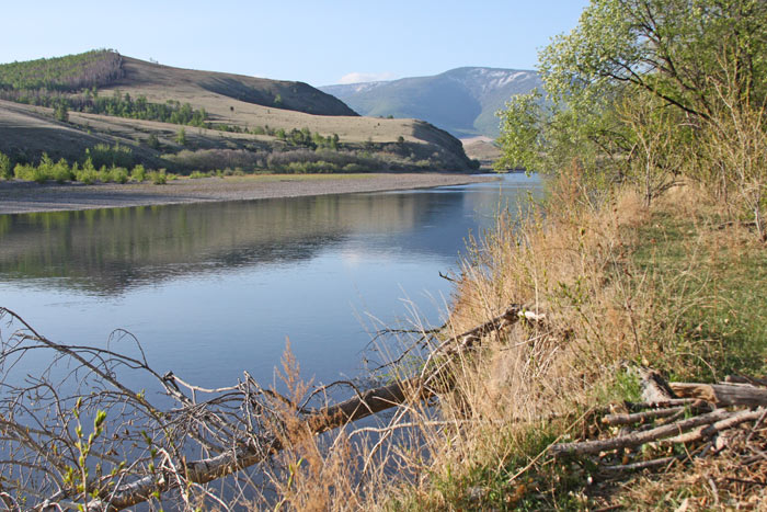 Petropavlovka birding site by the river