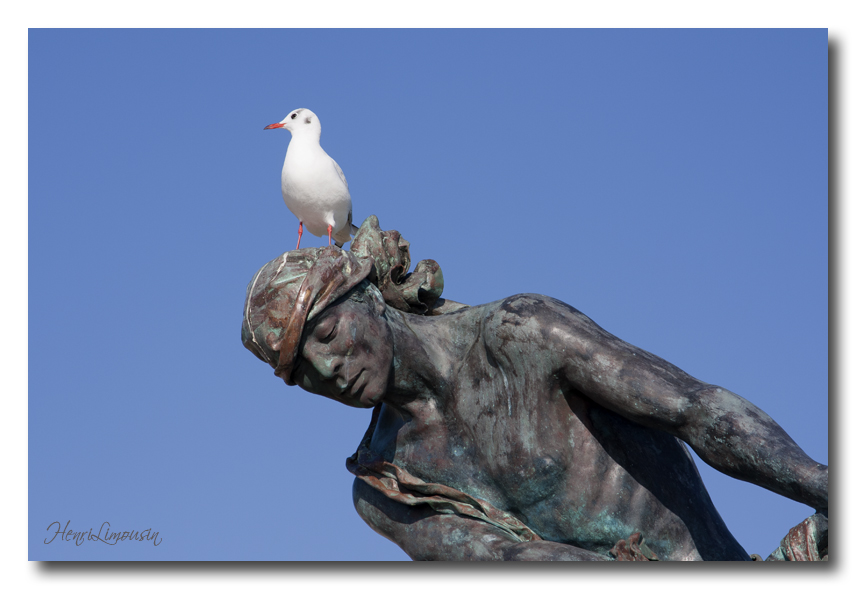 _MG_8916 statue mouette.jpg