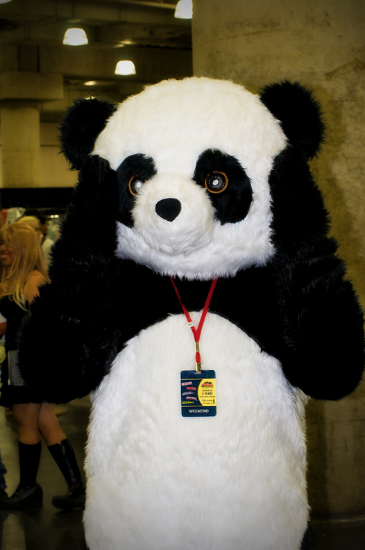 DSC3061.jpg