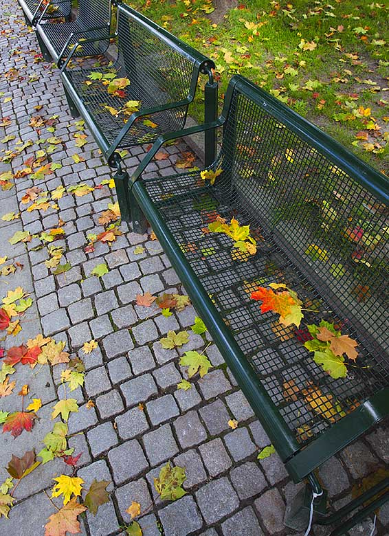 Early Autumn in the City Park