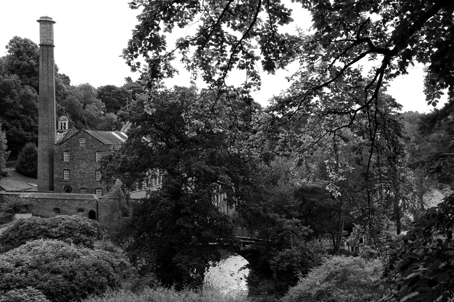 quarry bank_2567