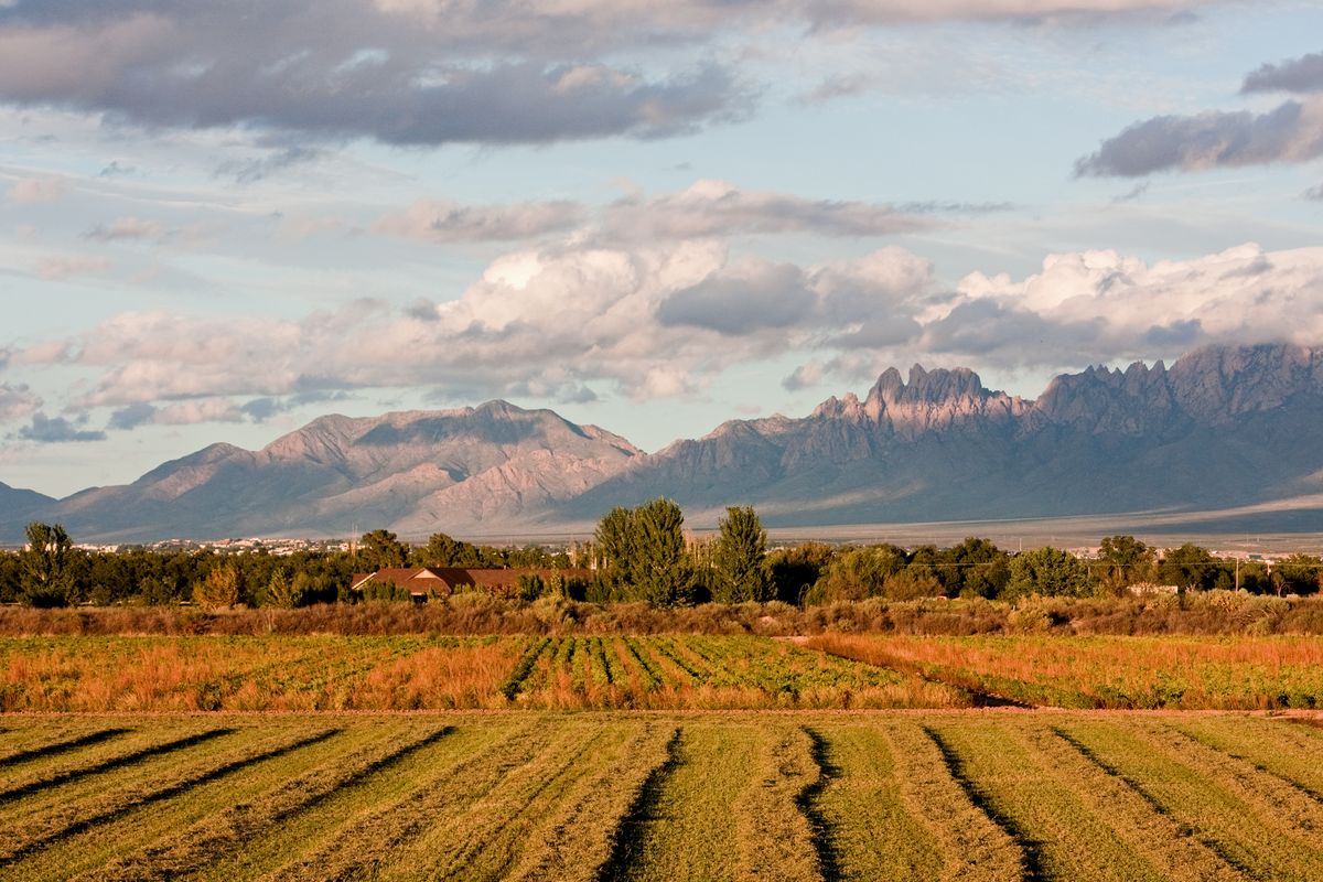 Farm fields in Mesilla framed by the Organ Mountains