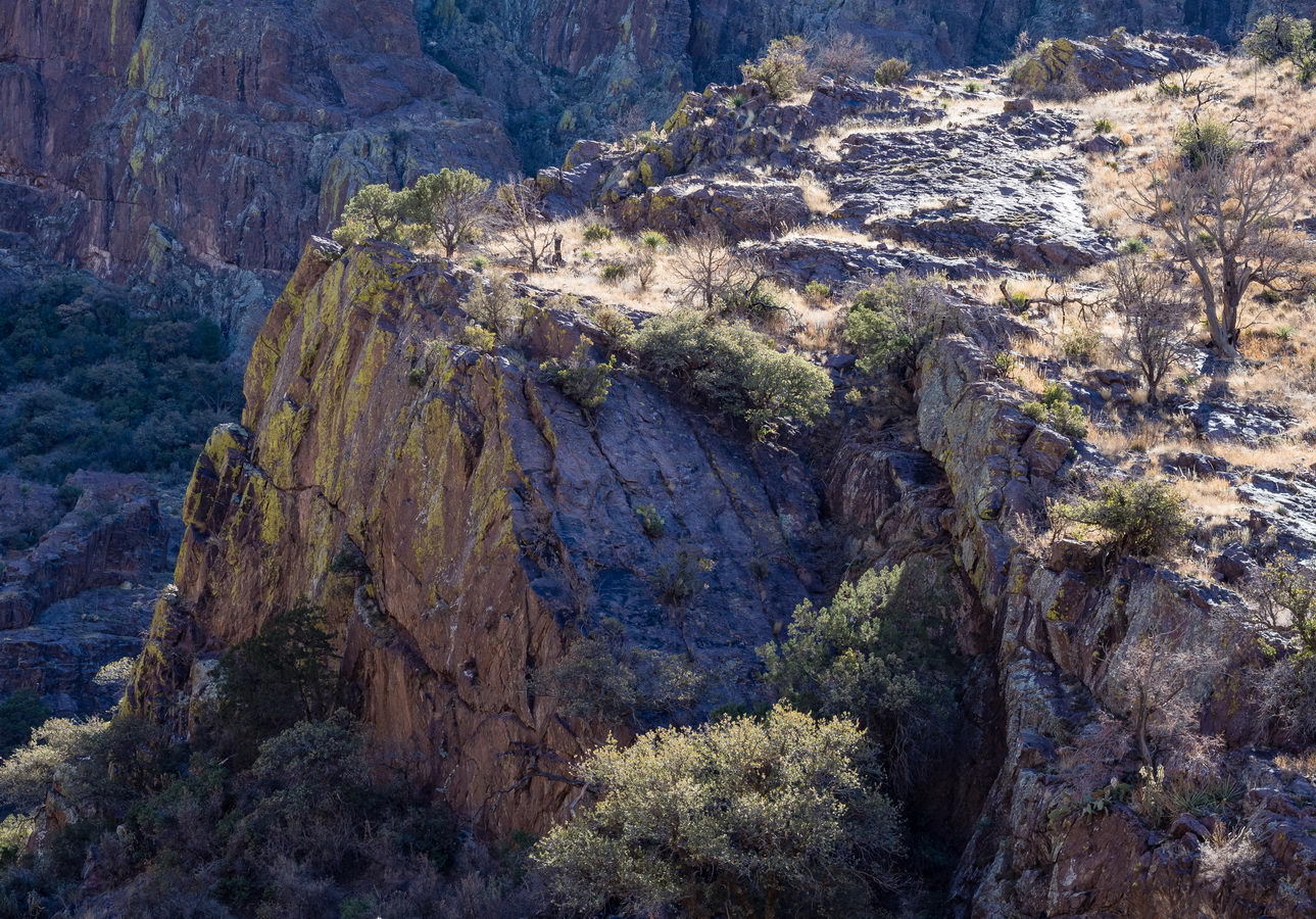 Along the trail into Dripping Springs