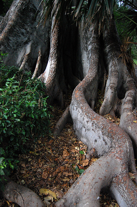 Change your opinions, keep to your principles; change your leaves, keep intact your roots. -Victor Hugo 