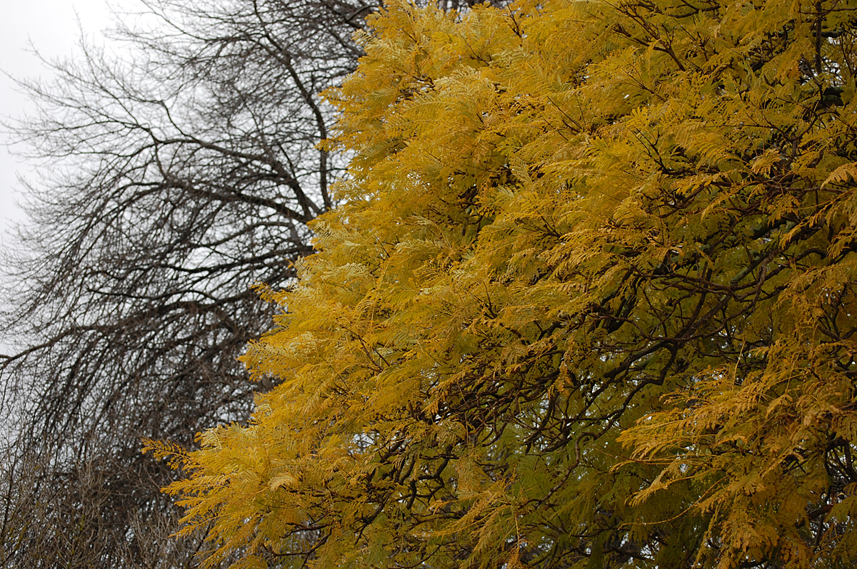 Climate is what we expect, weather is what we get. -Mark Twain 