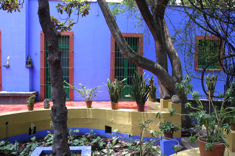 Kahlo Garden.JPG