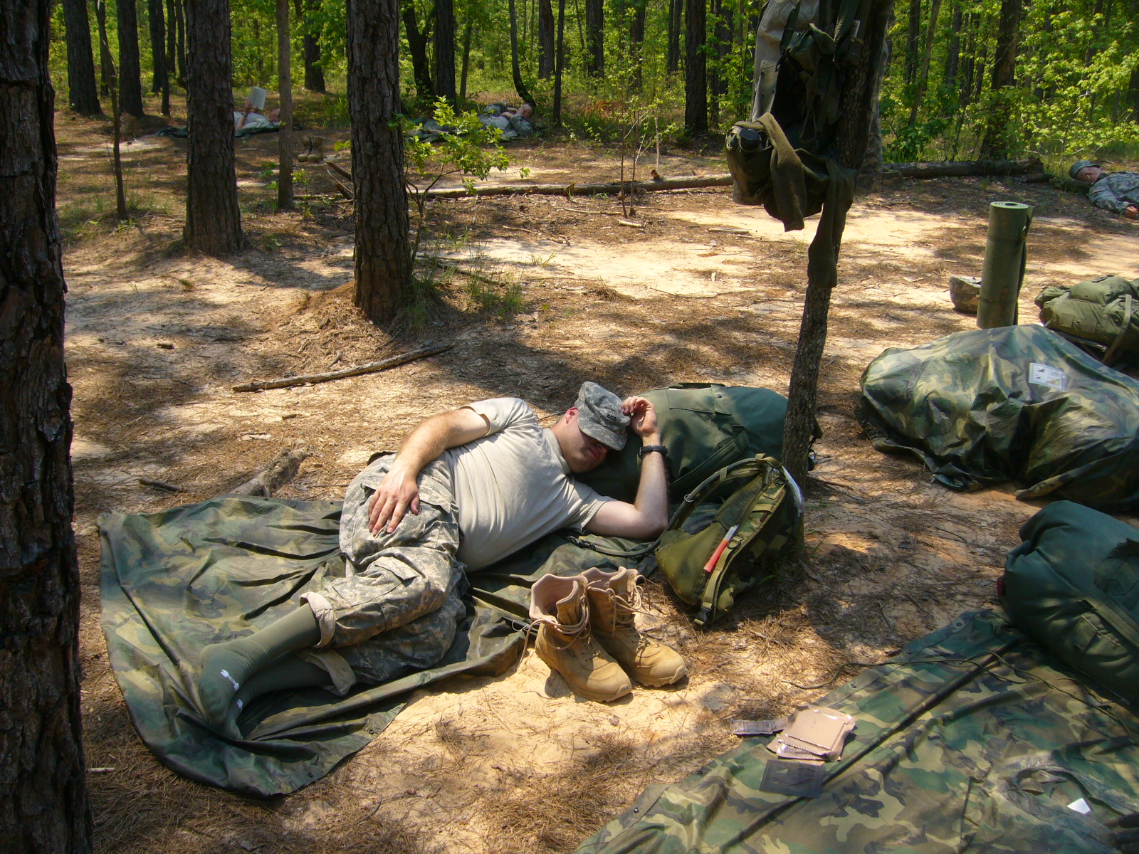 sleeping in the afternoon on FLX1