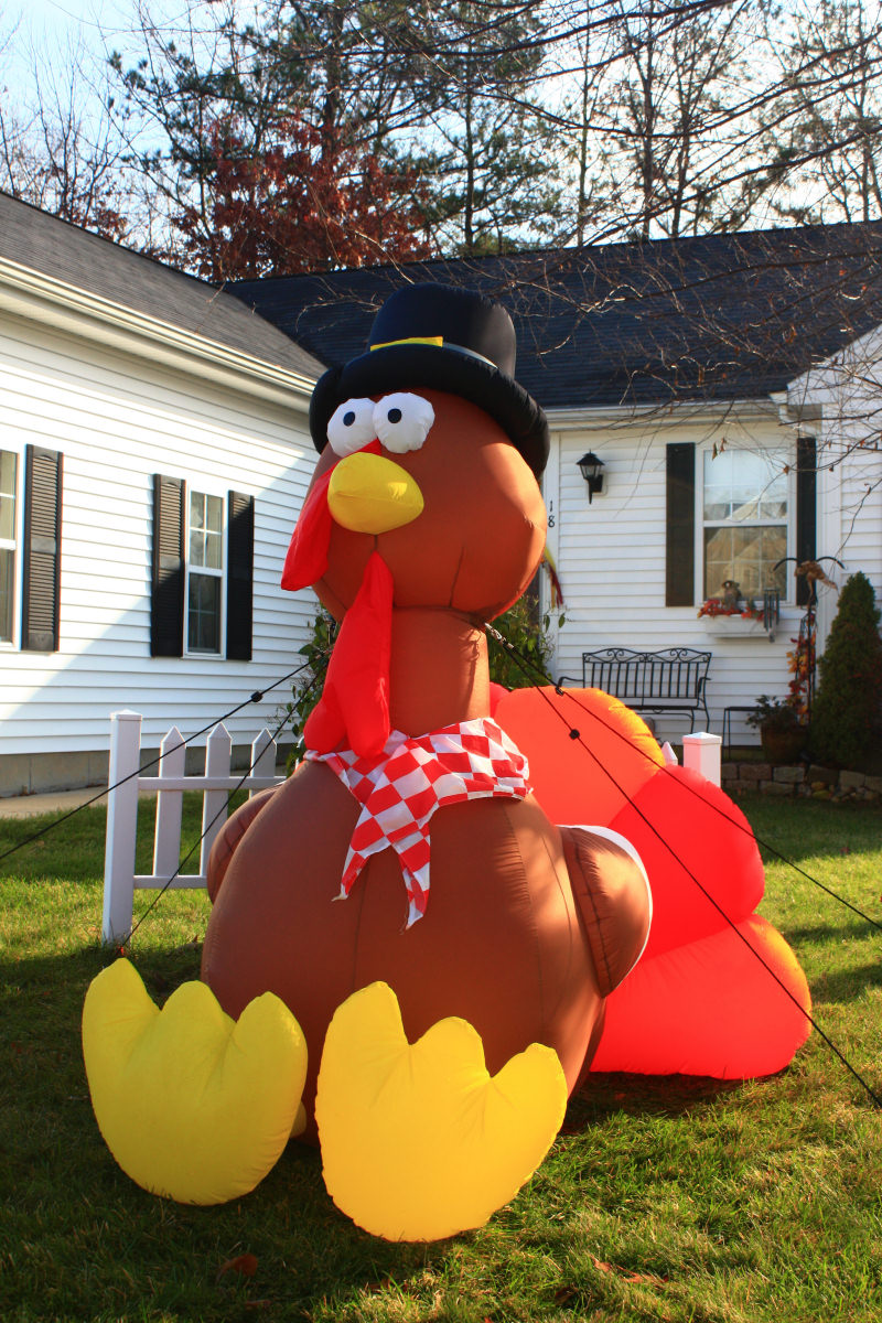 Thanksgiving Turkey<BR>November 27, 2008