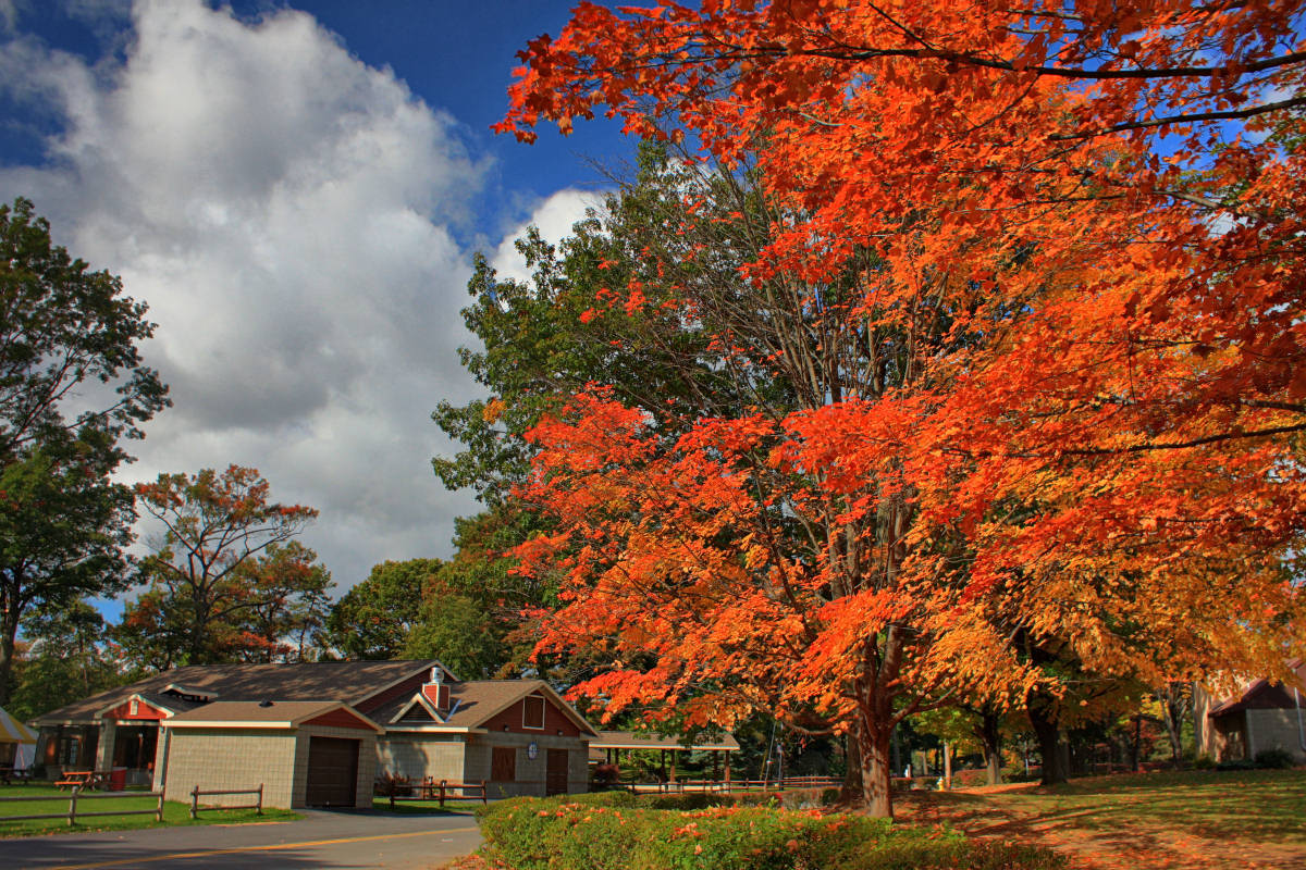 Park Autumn Scene in HDR<BR>October 14, 2009