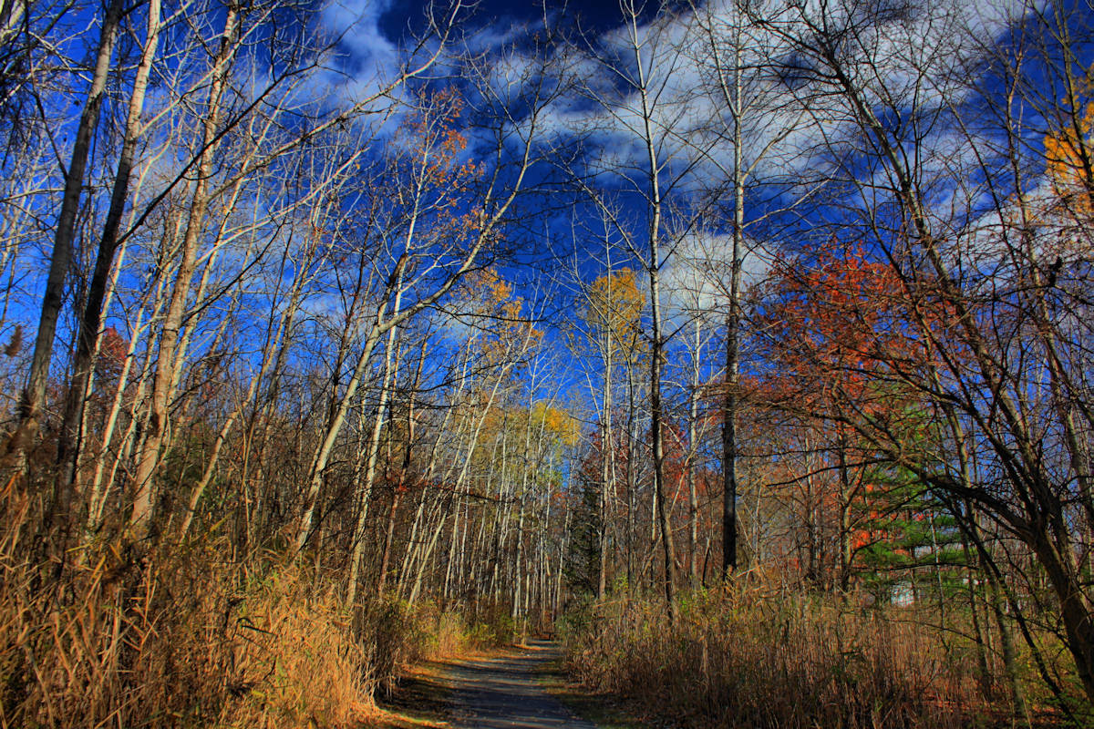 Autumn Scene in HDR<BR> November 7, 2010