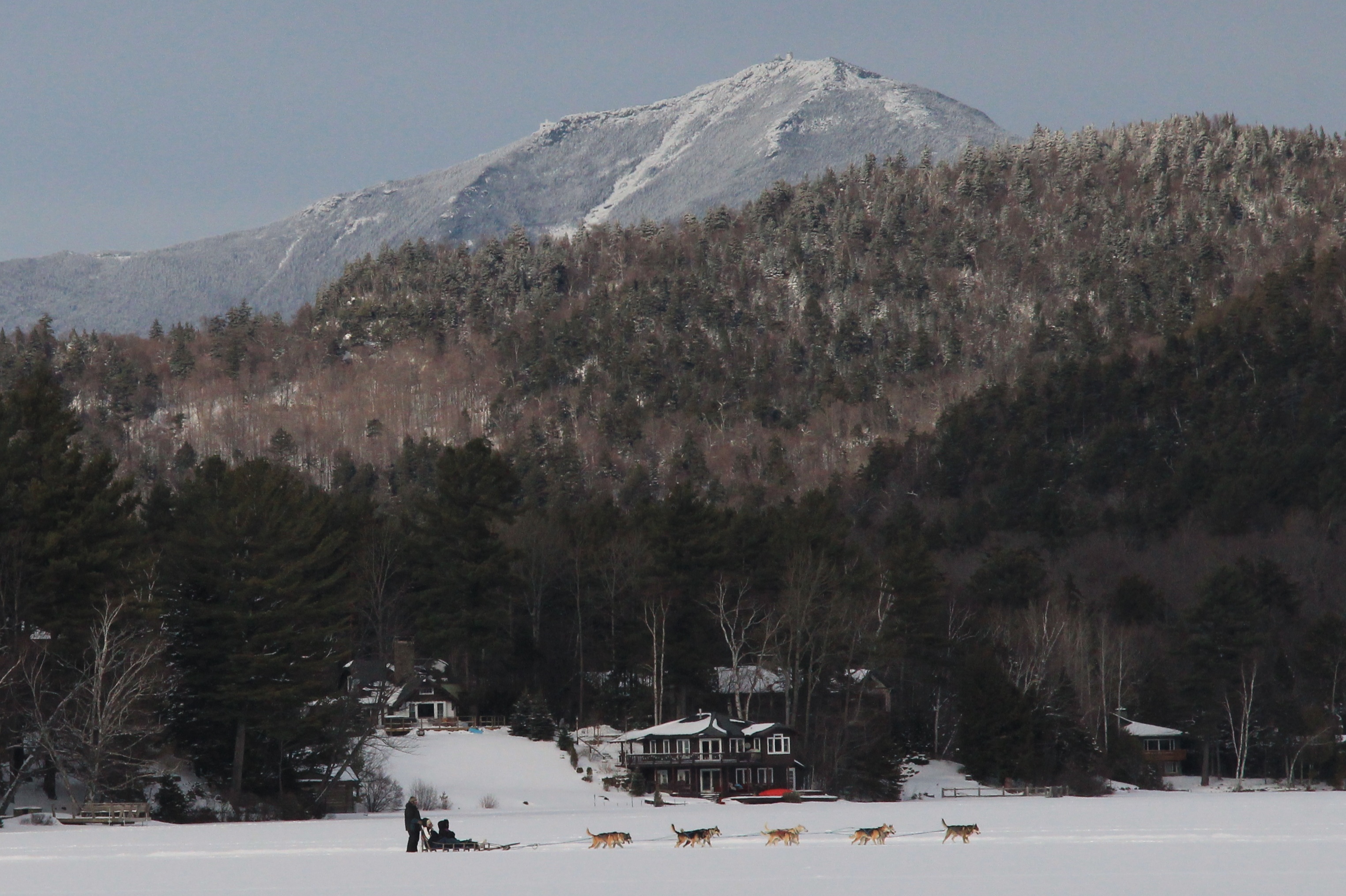 Dog Sled on Mirror Lake<br>February 22, 2013