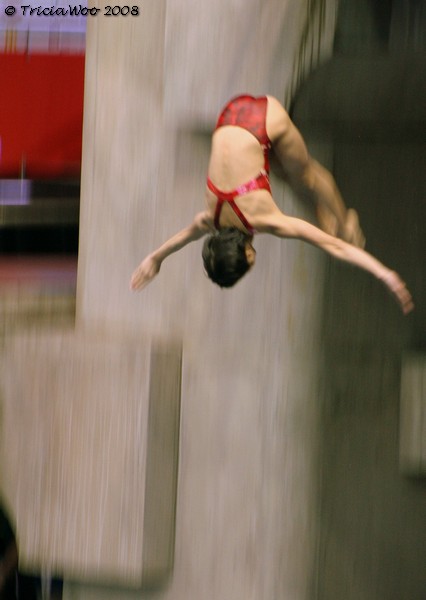 2008 Canada Cup Diving 2