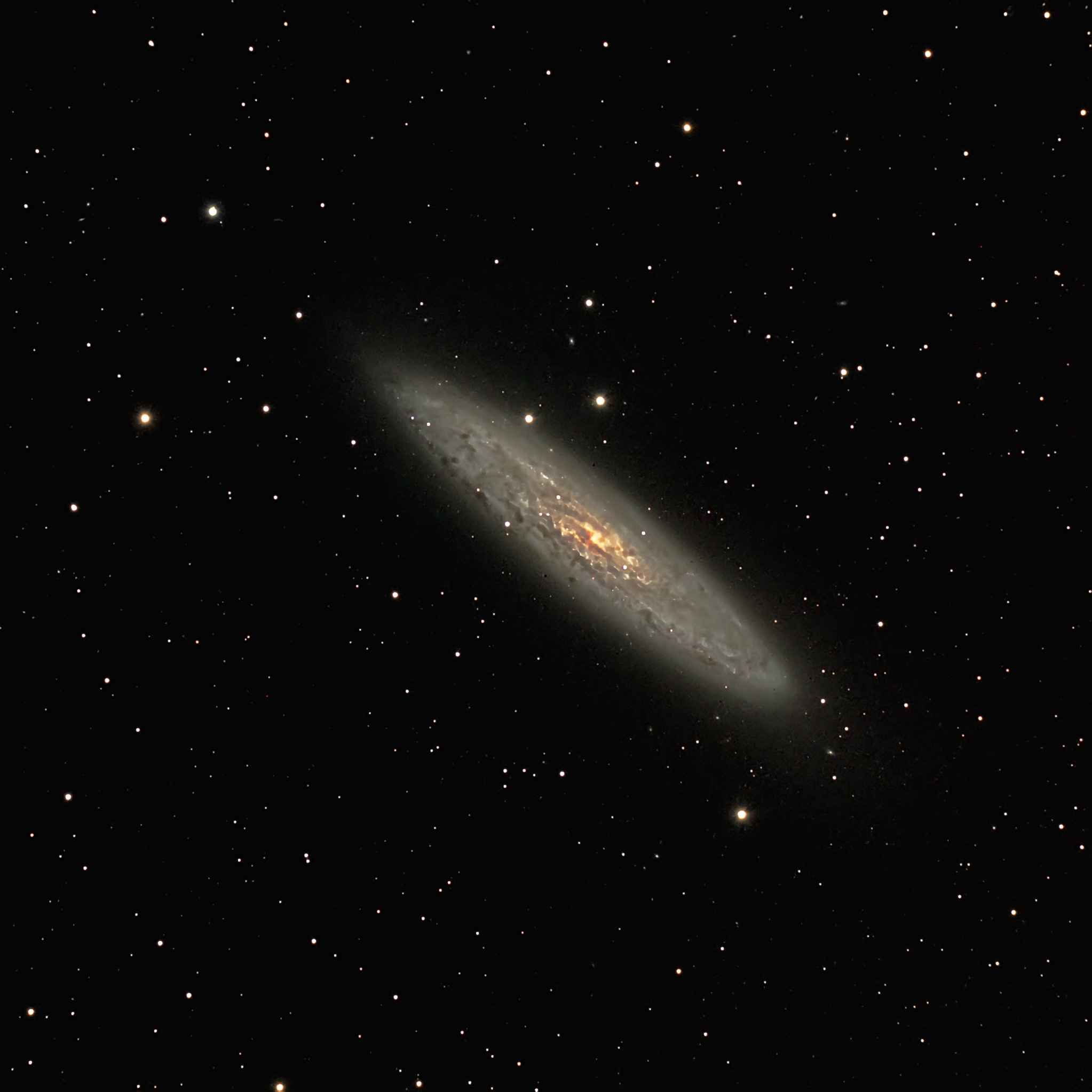 NGC 253, the Silver Coin Galaxy.