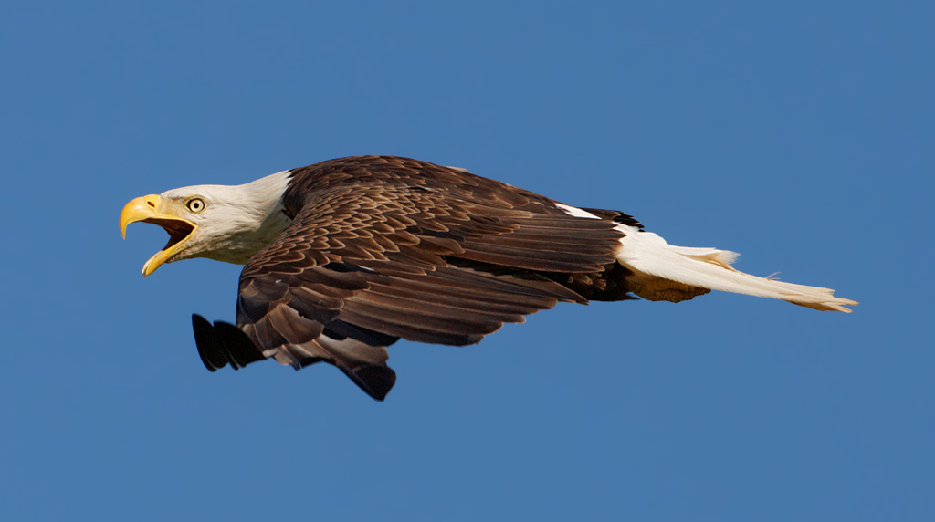 1D3_6234_DxO_raw.jpg