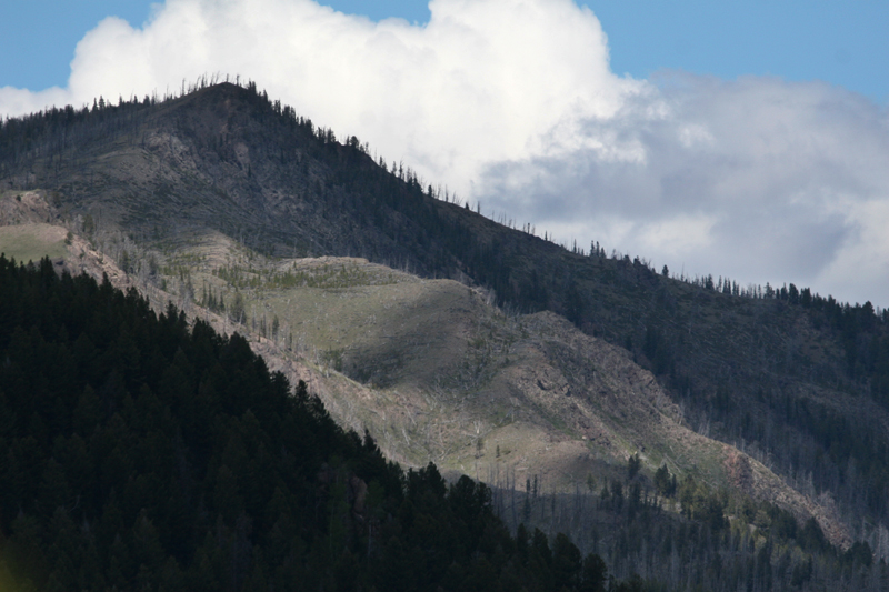 Bunsen Peak Hike