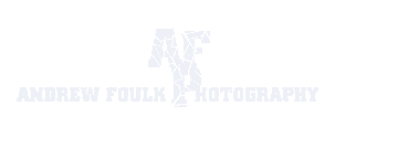 logo.gif