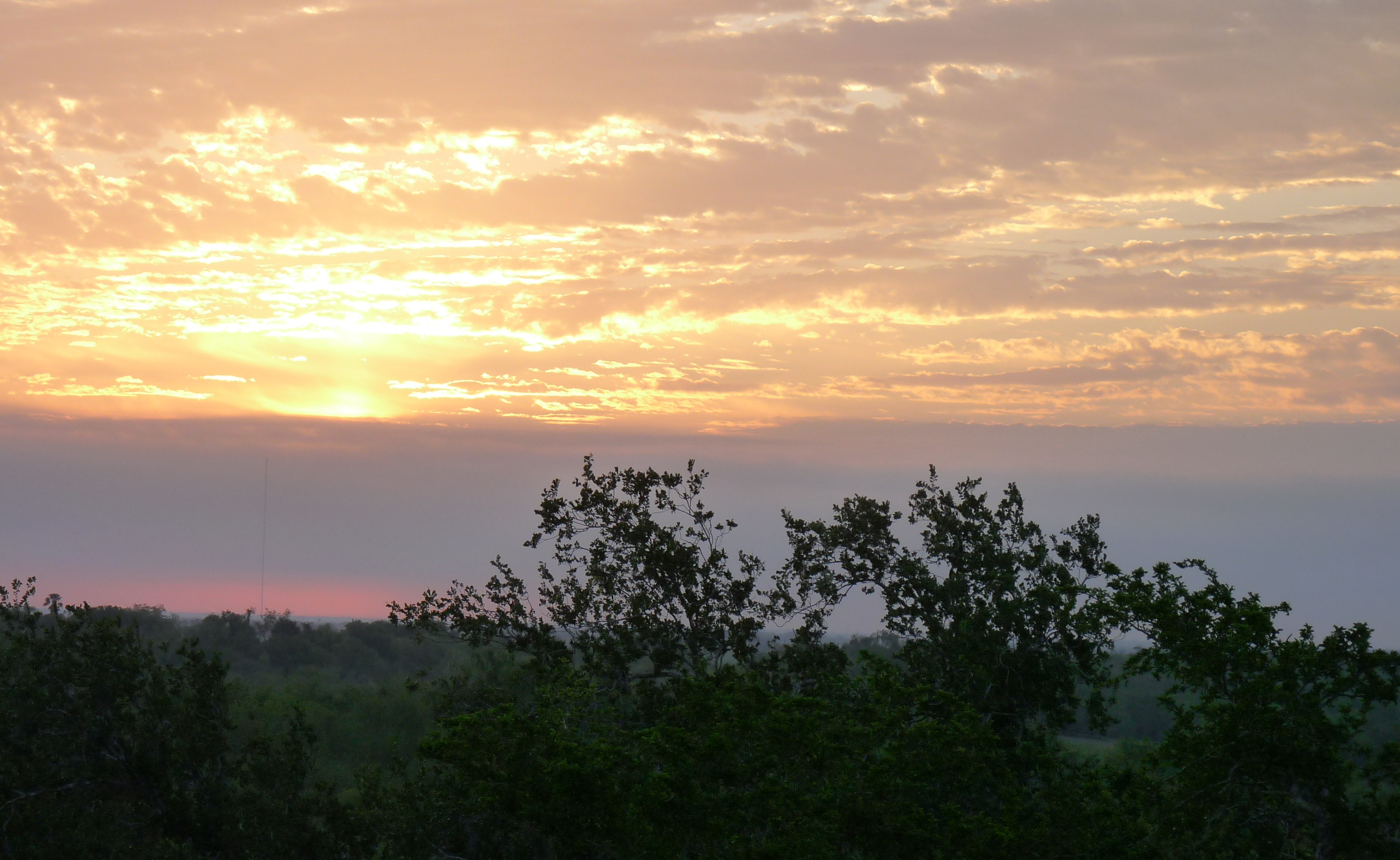 TX Sunset