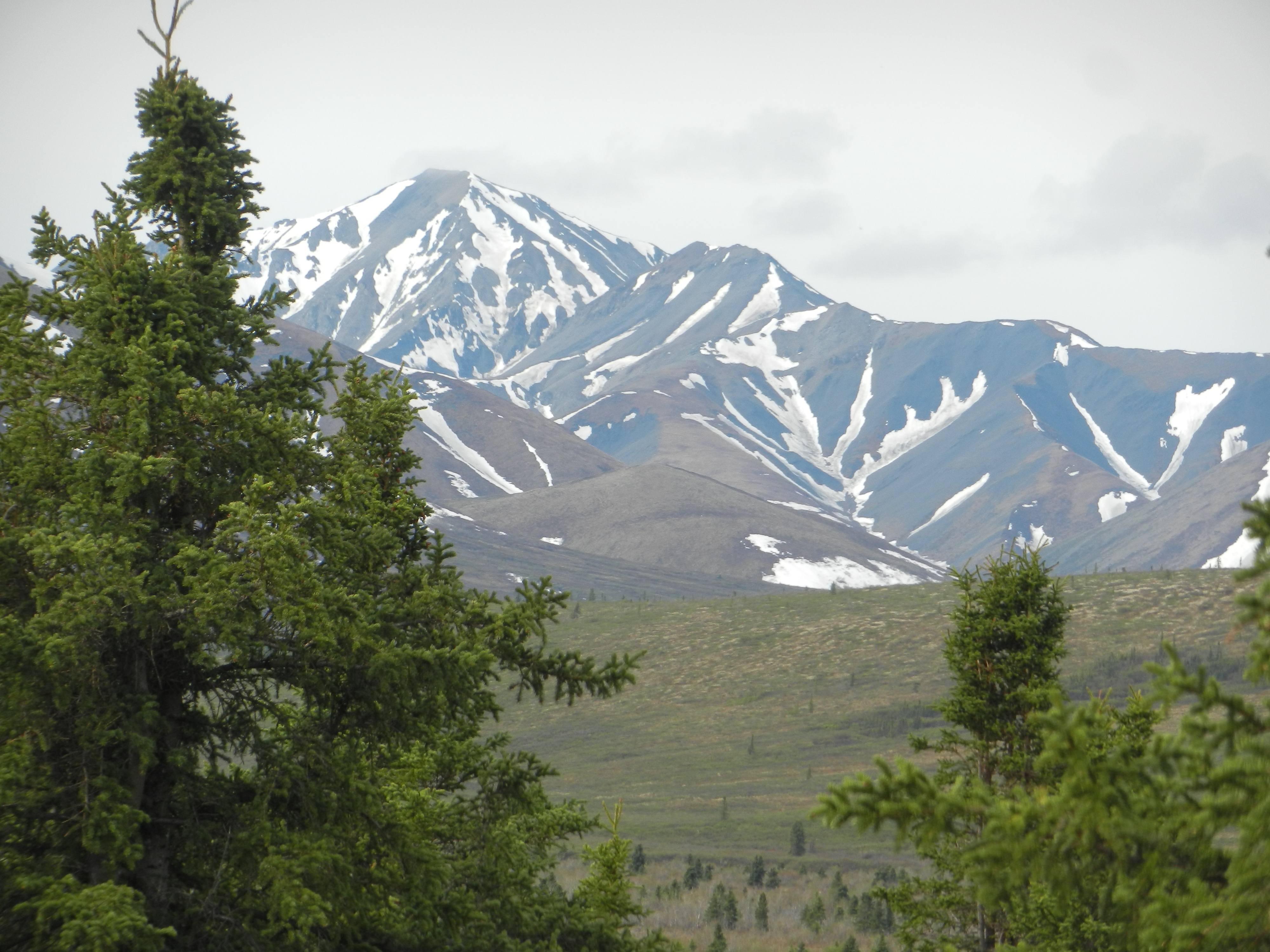 Denali NP.JPG