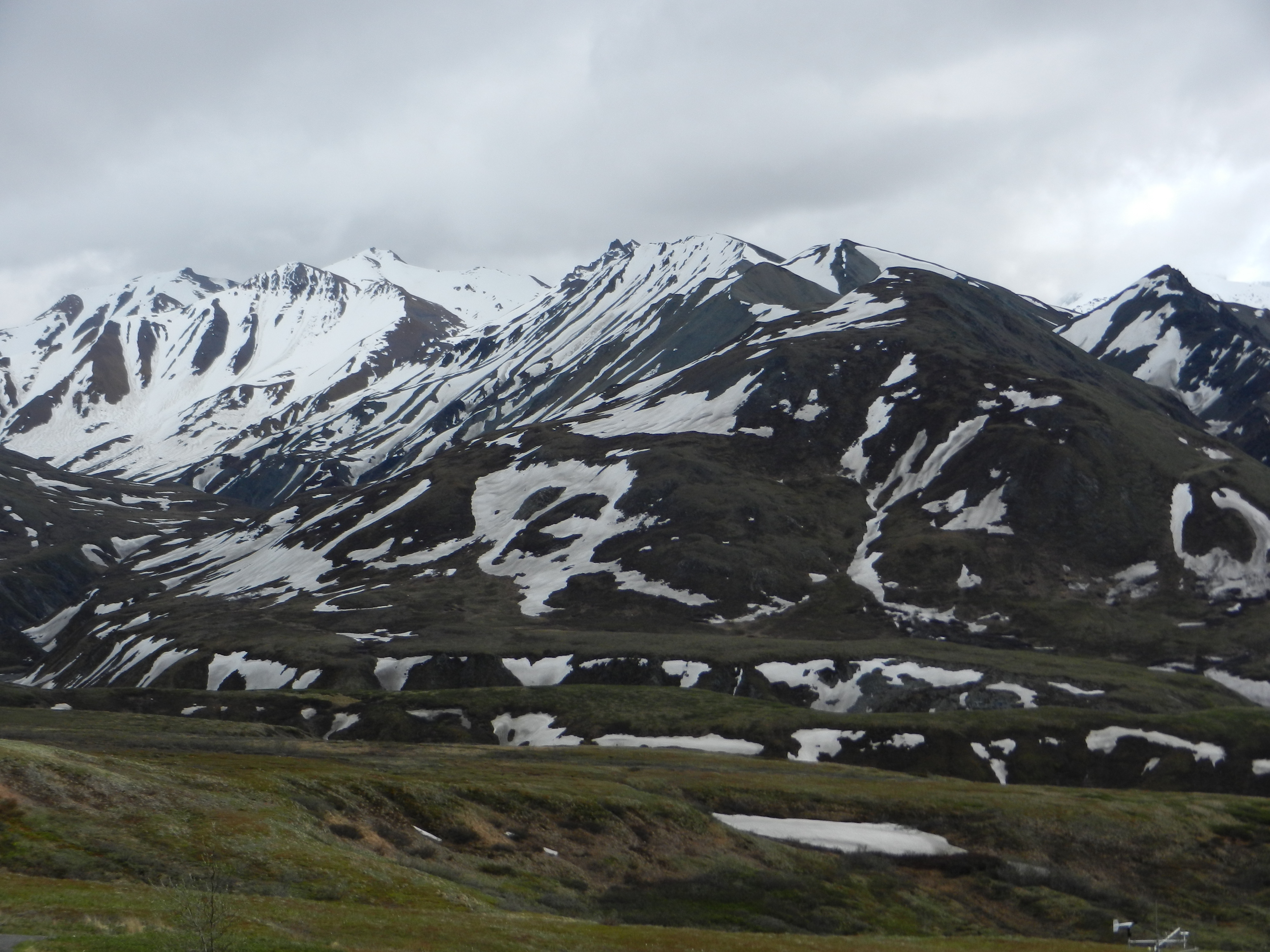 Denali NP 14.JPG