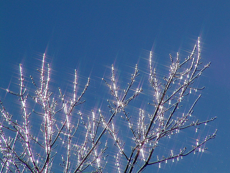 Sparkles WCH-6939