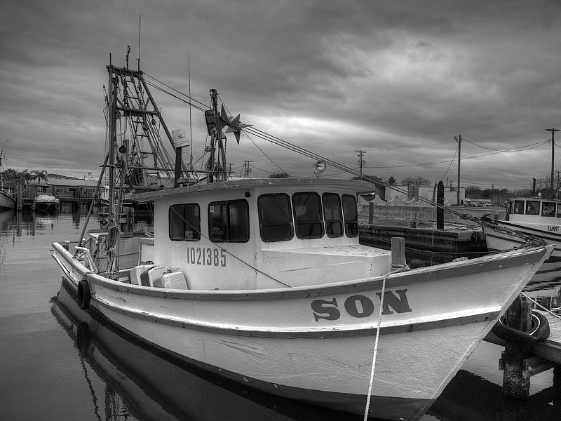 Shrimp Boat Son