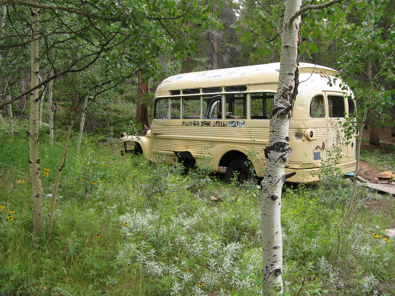 Into the wild