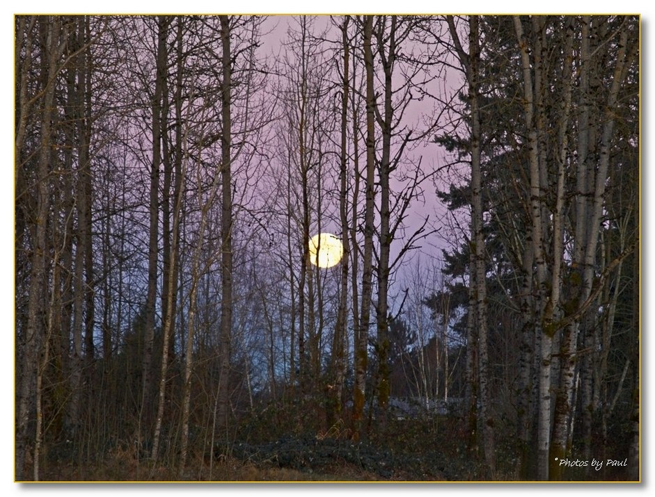 ANOTHER FULL MOON AT SUNRISE