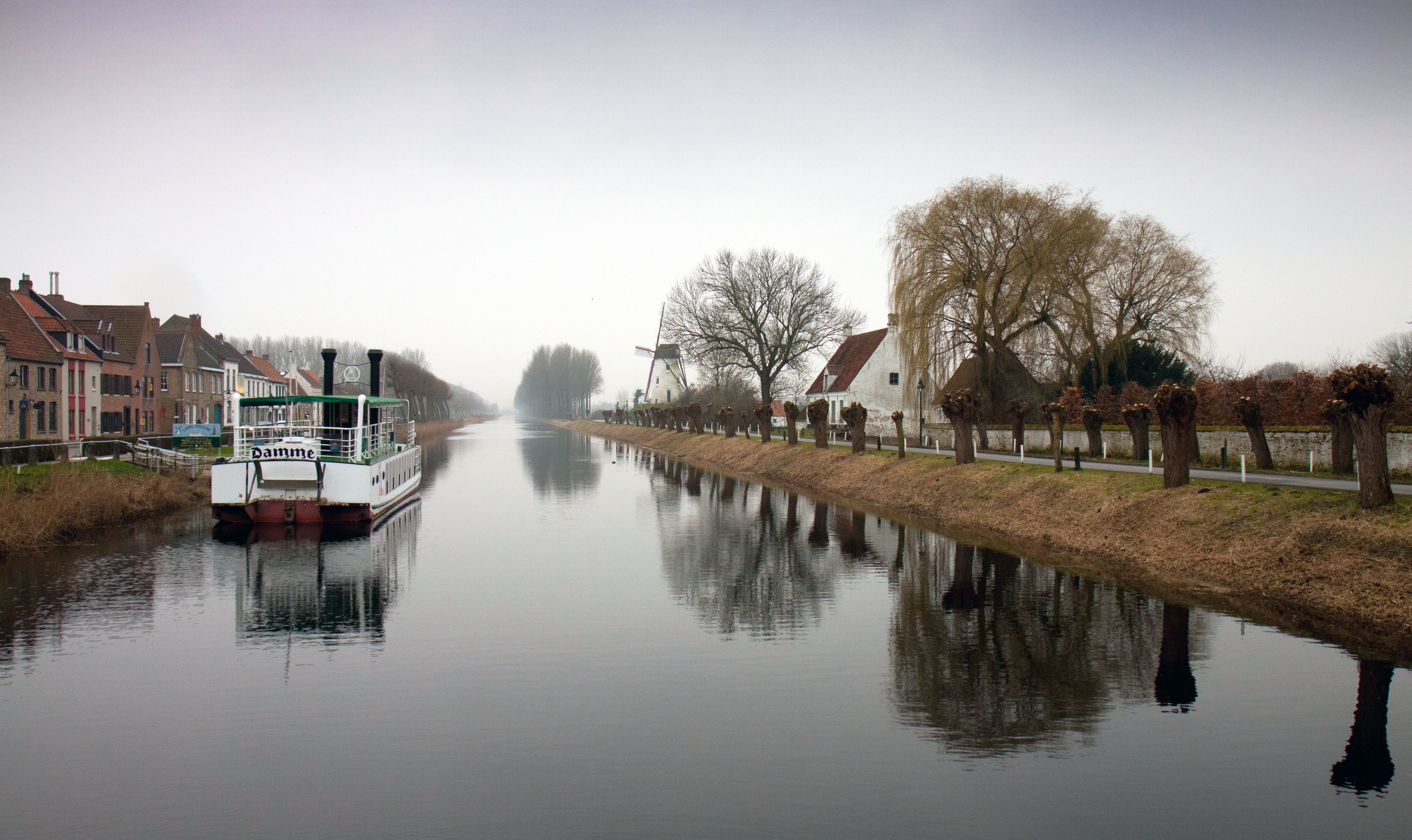Knotwilgen langs de vaart