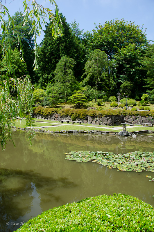 _DSC5868.jpg