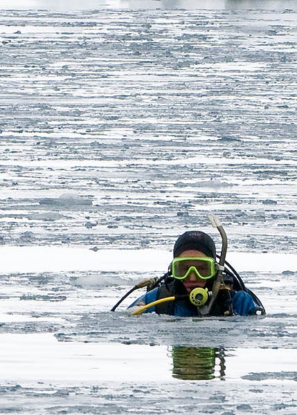 Antarctic Diving