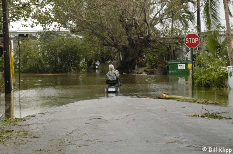 Olivia & Eisenhower Streets