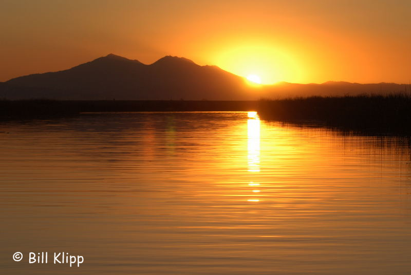 Discovery Bay Sunsets 5