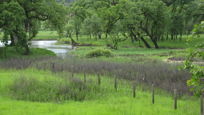 Laguna de Santa Rosa