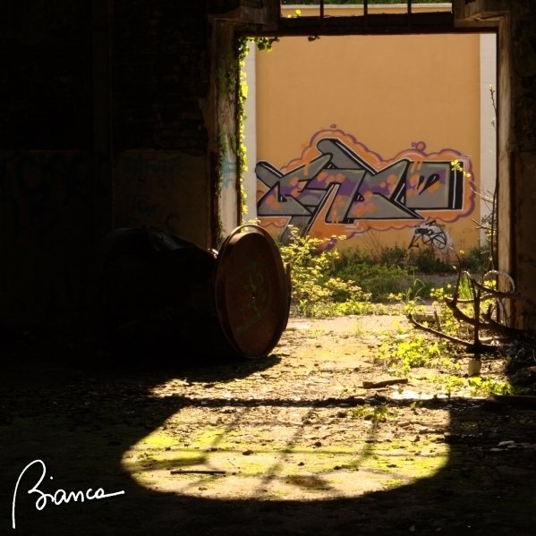 Desolation