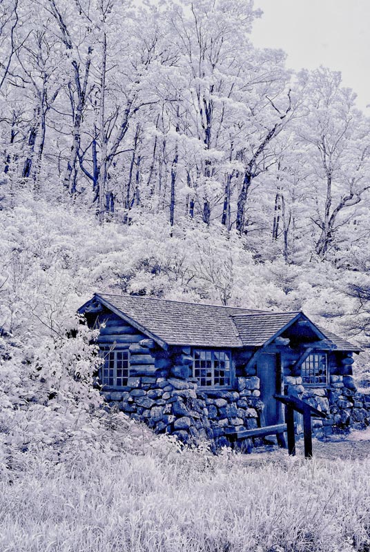 Cold Winter Day_01 copy.jpg