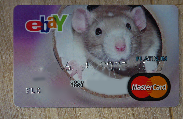 Money Rat