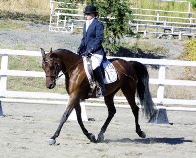 A Desert Dressage Queen