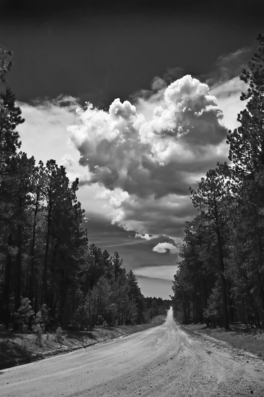 7th - The Road Home by Michael Shealy