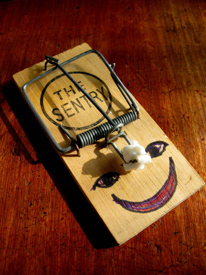 Say Cheese