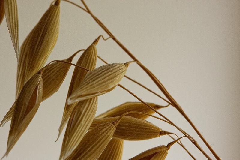 Natural Design - version 2