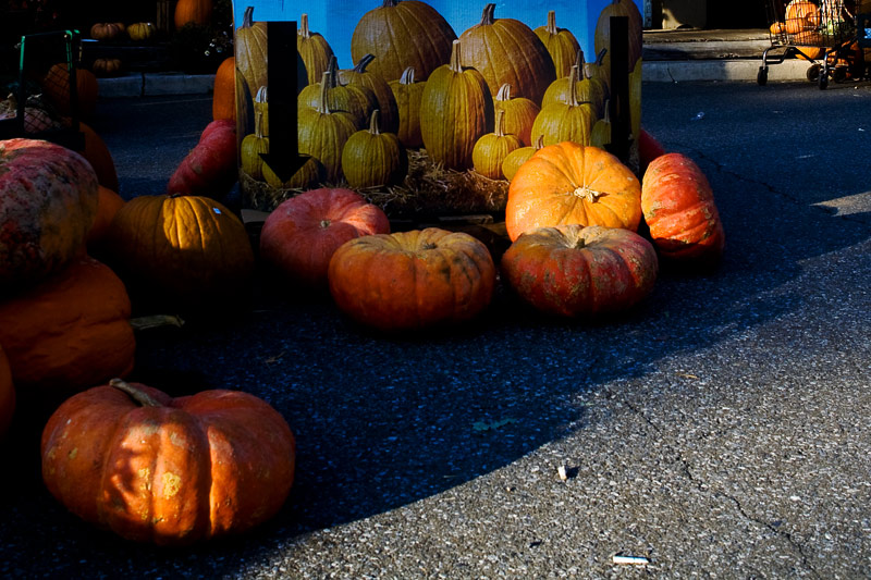 Pumpkin Shop
