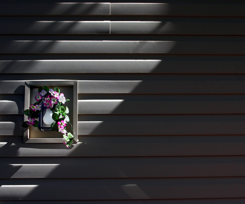 fleur