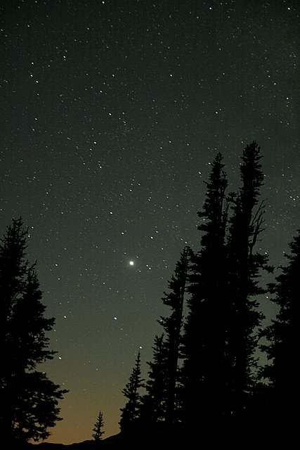 Starry, Starry Night*