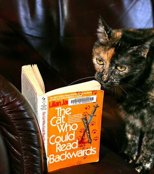 Shes Actually Reading Forwards