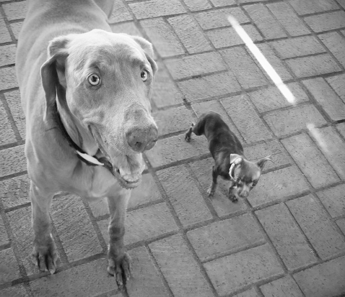 big and small
