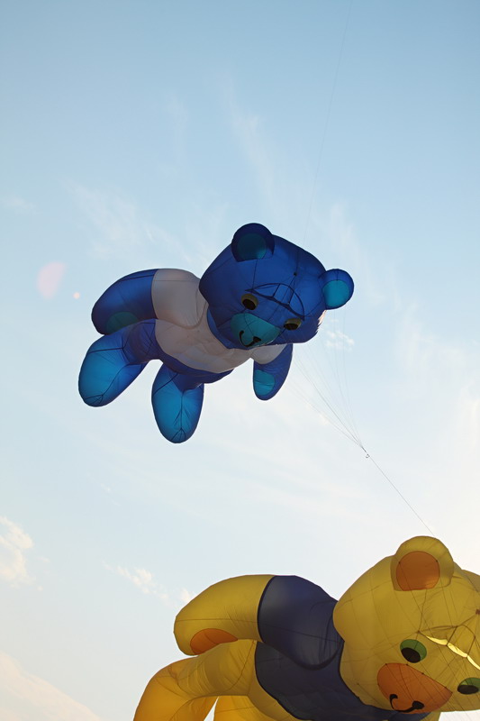 Flying Bears